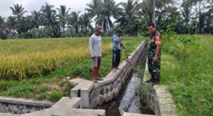 TNI AD Koramil 0825-20 Songgon Lakukan Monitoring Ketahanan Pangan di Wilayah Desa