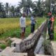 TNI AD Koramil 0825-20 Songgon Lakukan Monitoring Ketahanan Pangan di Wilayah Desa