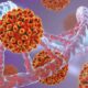 Infeksi Hepatitis B dan C Terus Meningkat, WHO Beri Peringatan
