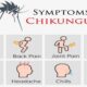 Puluhan Warga di Banyuwangi Dikabarkan Terjangkit Demam Chikungunya