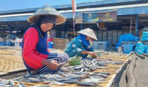 Hasil Tangkapan Ikan di Banyuwangi Mengalami Peningkatan