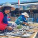 Hasil Tangkapan Ikan di Banyuwangi Mengalami Peningkatan