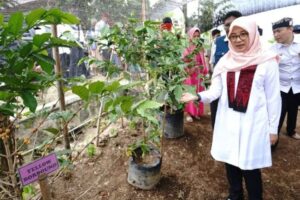 Pemerintah Kabupaten Banyuwangi Terus Gali Potensi Ekonomi Desa