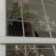 Suara Demo Sound di Depan Kantor Pemkab Banyuwangi Bikin Kaca Pecah