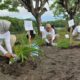 Upaya Pelestarian Penyu di Pantai Pulau Santen Banyuwangi