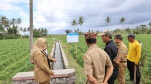 Pemkab Banyuwangi Bangun dan Revitalisasi Jaringan Irigasi 123 km dengan Skema Padat Karya