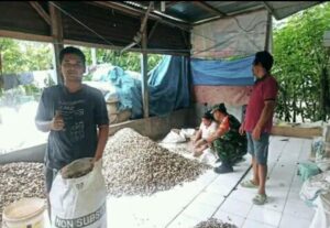 Babinsa Koramil 08/Tiga Binanga Membantu Petani Kemiri di Desa Kem Kem