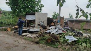 Ibu dan Anak Tewas Tertimpa Pohon Tumbang di Hamparan Perak