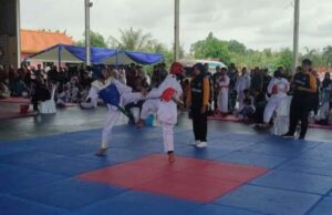 Kejurkab Taekwondo Banyuwangi, Mencari Bibit Unggul untuk Tingkat Nasional