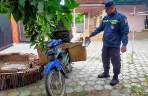 Pencuri Buah Naga di Tegaldlimo Berhasil Ditangkap Polisi di Pelabuhan Ketapang