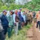Perhutani KPH Banyuwangi Selatan Dukung Percepatan Pembangunan Jalan Lintas Selatan (JLS)