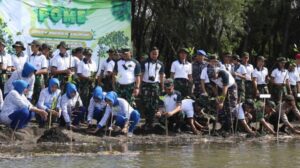 TNI AL dan Kodiklatal Tanam Mangrove di Banyuwangi untuk Menjaga Garis Pantai