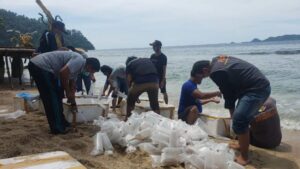 KKP Razia Penyelundupan Benih Lobster di Beberapa Daerah