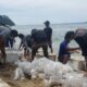 KKP Razia Penyelundupan Benih Lobster di Beberapa Daerah