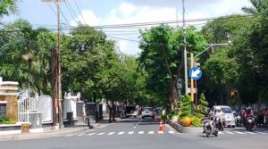 Upaya DPU CKPP Banyuwangi untuk Menciptakan Kota Hijau dengan Pepohonan Rindang