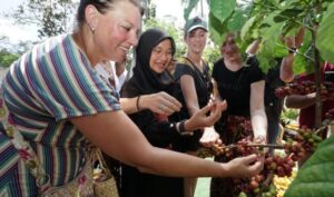 Festival Kopi Rakyat Kalibaru, Dorong Pemasaran dan Kualitas Kopi Banyuwangi