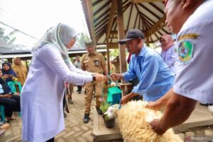 Pemkab Banyuwangi Latih Peternak Membuat Pakan Fermentasi untuk Atasi Kekurangan Pakan