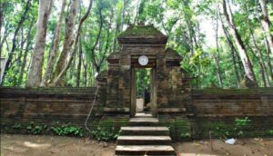 Nikmati Hutan Bersejarah di Banyuwangi, Wisata Sambil Belajar Lingkungan