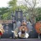Festival Barong Kumbo Meriahkan Kesenian Banyuwangi