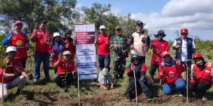 Peduli Dampak Perubahan Iklim, PMI Banyuwangi Tanam Ratusan Pohon Mangrove