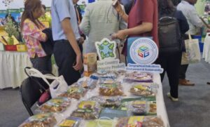Pisang Mas Kirana, Kebanggaan Lumajang yang Menembus Pasar Internasional