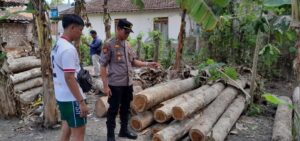 Polsek Purwoharjo Ungkap Kasus Ilegal Logging, Dua Pelaku Diamankan
