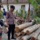 Polsek Purwoharjo Ungkap Kasus Ilegal Logging, Dua Pelaku Diamankan
