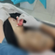 Seorang Pelajar yang Tewas Tertembak, Saat ini Diotopsi di RS Bhayangkara