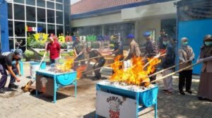 Bea Cukai Banyuwangi Musnahkan Ratusan Ribu Batang Rokok dan Ribuan Liter Arak Ilegal