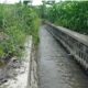 Pembangunan Saluran Irigasi di Desa Tunjungtirto Selesai, Petani Merasakan Manfaatnya