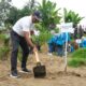 PTPN I Regional 1 Tanam 300 Pohon untuk Cegah Abrasi