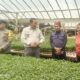 Polsek Cluring dan Pemdes Sarimulyo Monitoring Kebun Tomat