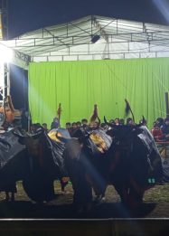 Seni Tradisional Bantengan, Selamatan Desa Tumpang