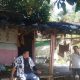 Fakta Sebenarnya Guru Honorer Mariasih yang Disebut Tinggal di Gubuk Reyot