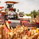 Panen Raya Jagung Serentak Kuartal III 2025 di Kabupaten OKU Timur