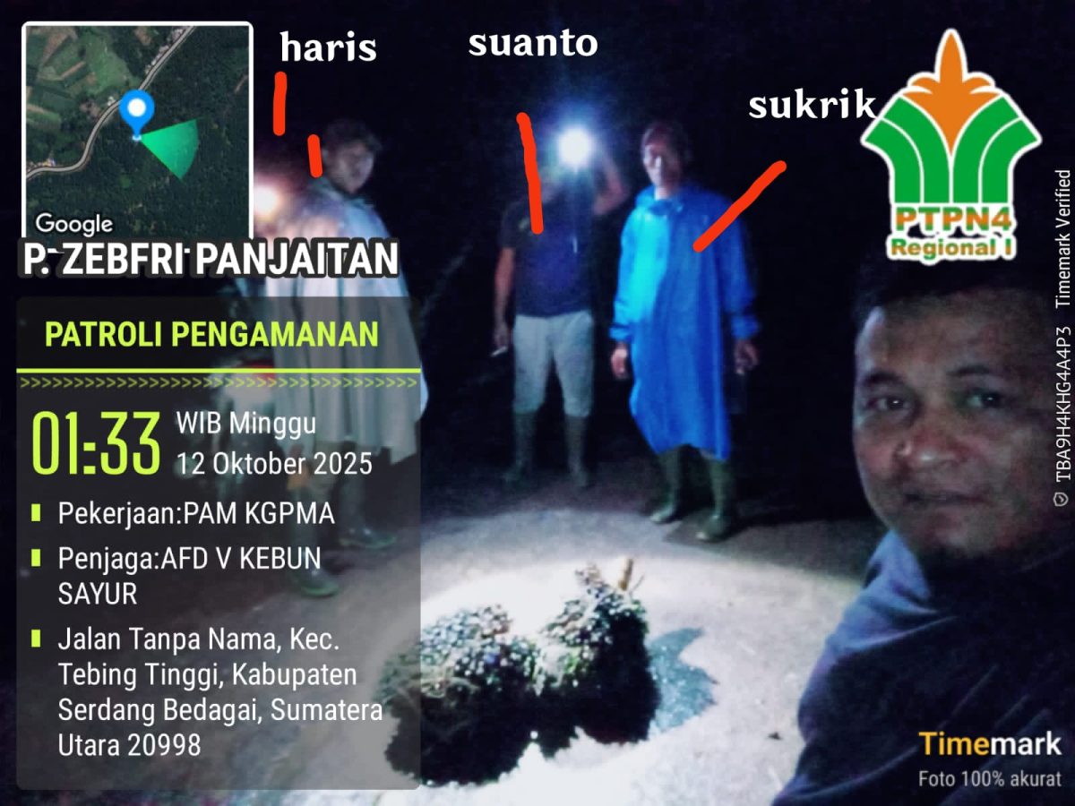Whistleblower TBS di PTPN 4 Gunung Pamela Di-PHK