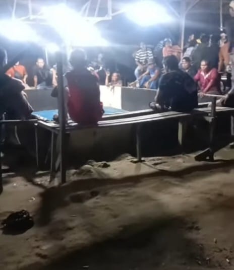 Arena Sabung Ayam di Kutalimbaru Diduga Dibiarkan Beroperasi