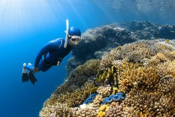 Etika snorkeling yang bertanggung jawab