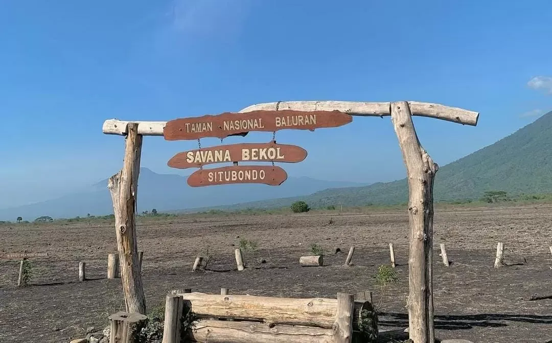 Fasilitas dan Akses Menuju Taman Nasional Baluran Banyuwangi