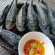 ikan sapu-sapu sambal