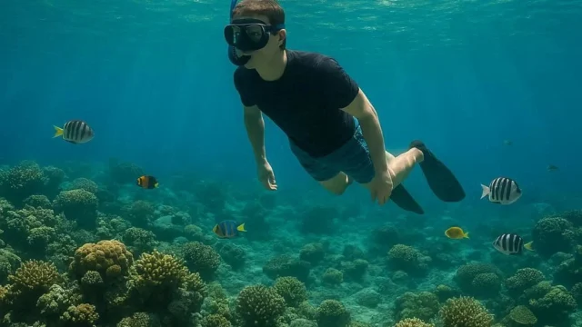 Kegiatan snorkeling di Pantai Bangus: Panduan Lengkap untuk Pemula dan Pro