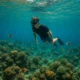 Kegiatan snorkeling di Pantai Bangus: Panduan Lengkap untuk Pemula dan Pro