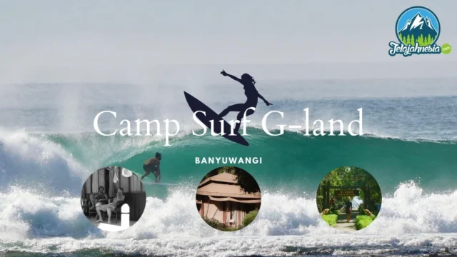 Panduan menyewa peralatan surf di G-Land: Langkah demi Langkah