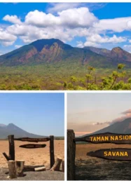 Taman Nasional Baluran Banyuwangi: Sejarah, Geografi, dan Ekosistem