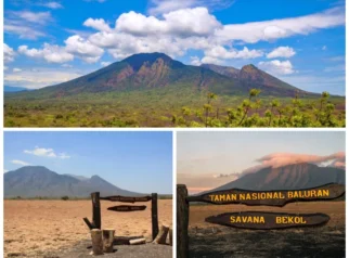 Taman Nasional Baluran Banyuwangi: Sejarah, Geografi, dan Ekosistem