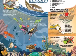 Tips menghindari kerusakan terumbu karang di G-Land