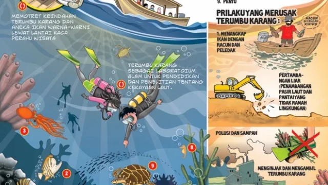 Tips menghindari kerusakan terumbu karang di G-Land