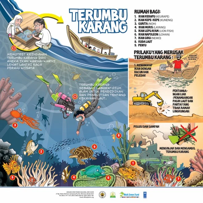 Tips menghindari kerusakan terumbu karang di G-Land