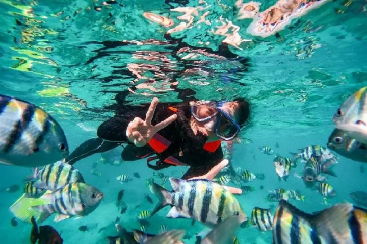 Waktu terbaik untuk melakukan kegiatan snorkeling di Pantai Bangus
