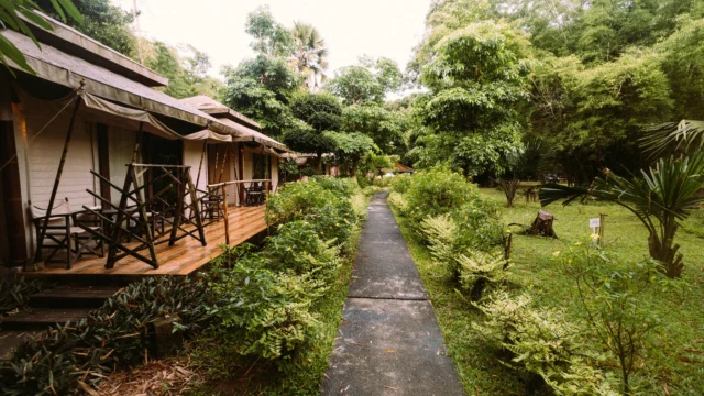 Cara Membaca Pola Ombak G-Land